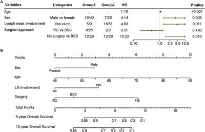 Survival Analysis of Lymphoepithelioma-Like Carcinoma of the Urinary Bladder and the Effect of Surgical Treatment Modalities on Prognosis